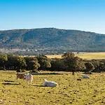 Mas Vell Casa rural *