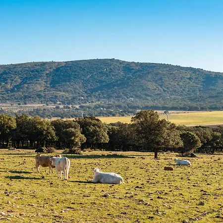 Mas Vell Country house *