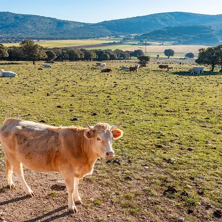 Mas Vell Country house Cati