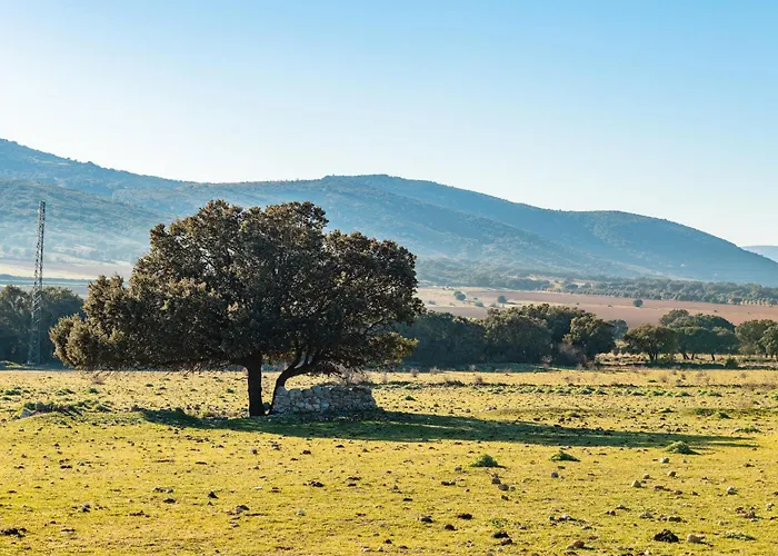 Mas Vell 乡村民宿