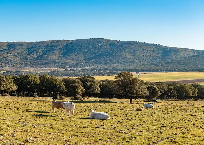 Mas Vell 乡村民宿 *